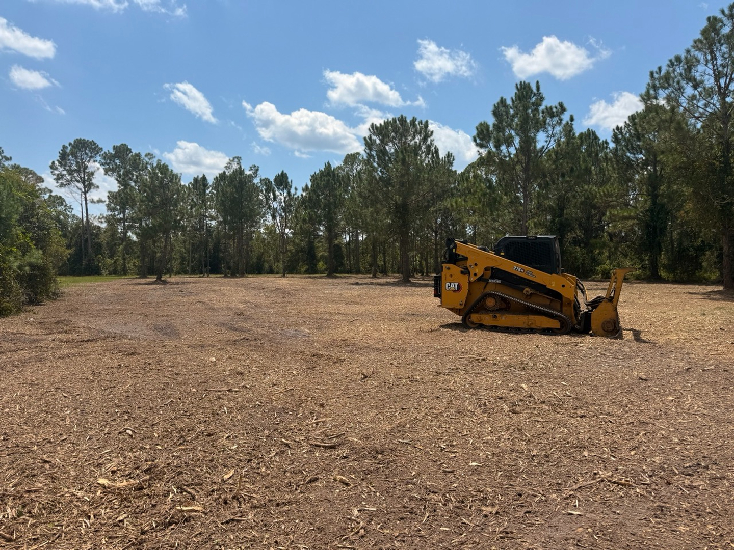 Swamp Gator ULM Image