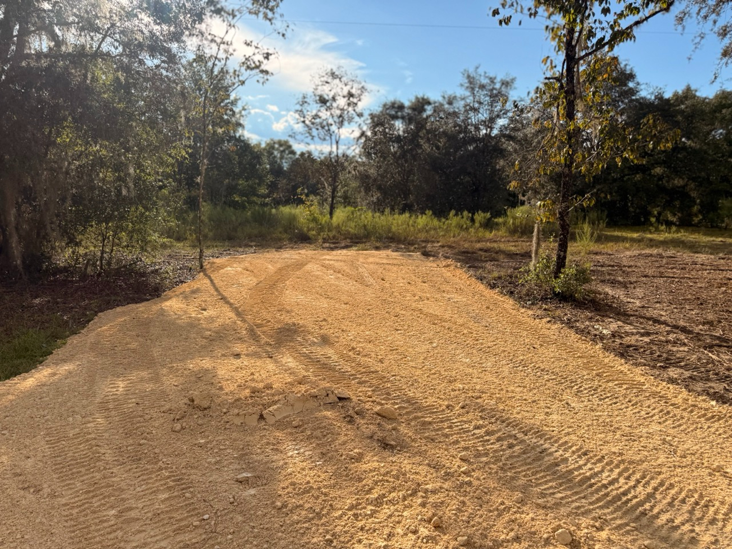 Swamp Gator ULM Image