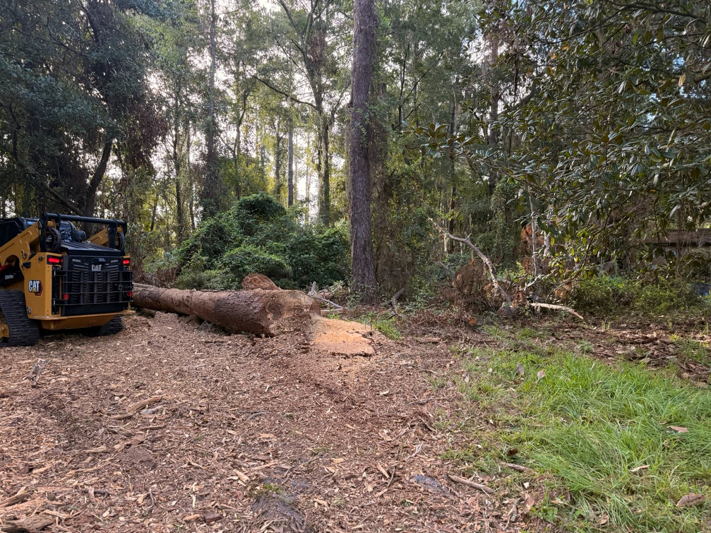 Swamp Gator ULM Image