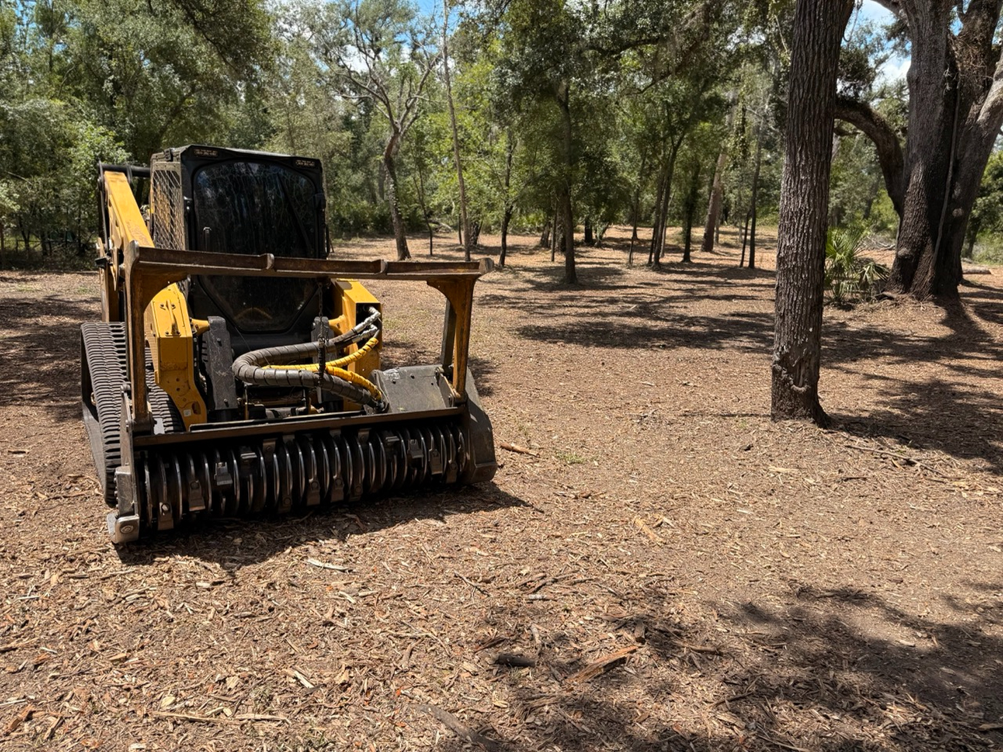 Swamp Gator ULM Image