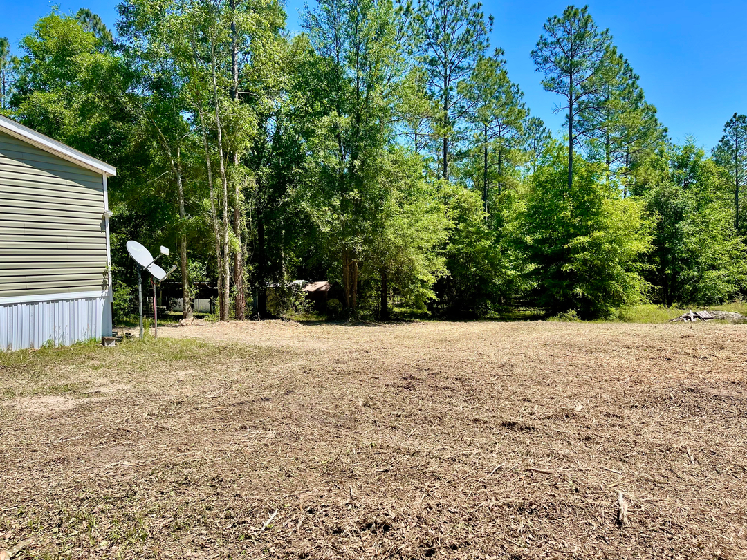 Swamp Gator ULM Image