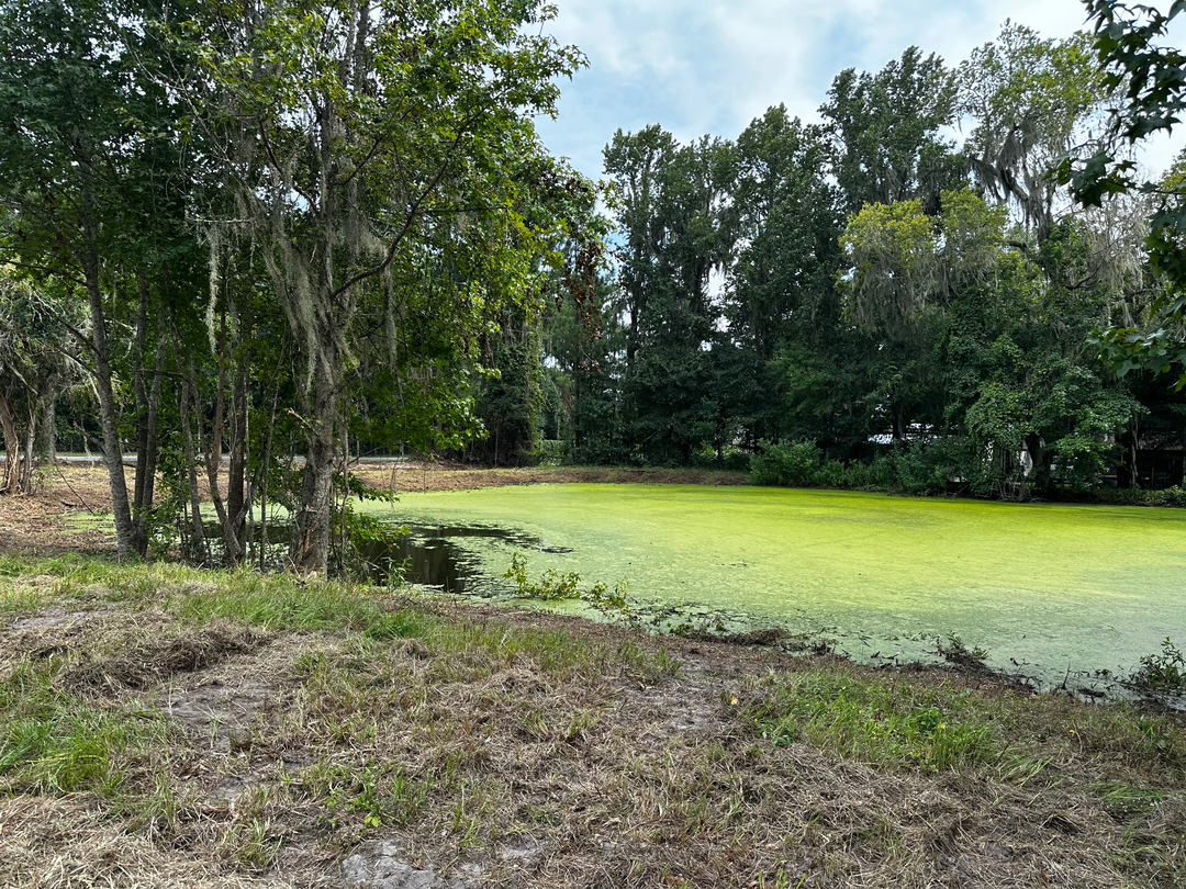 Swamp Gator ULM Image