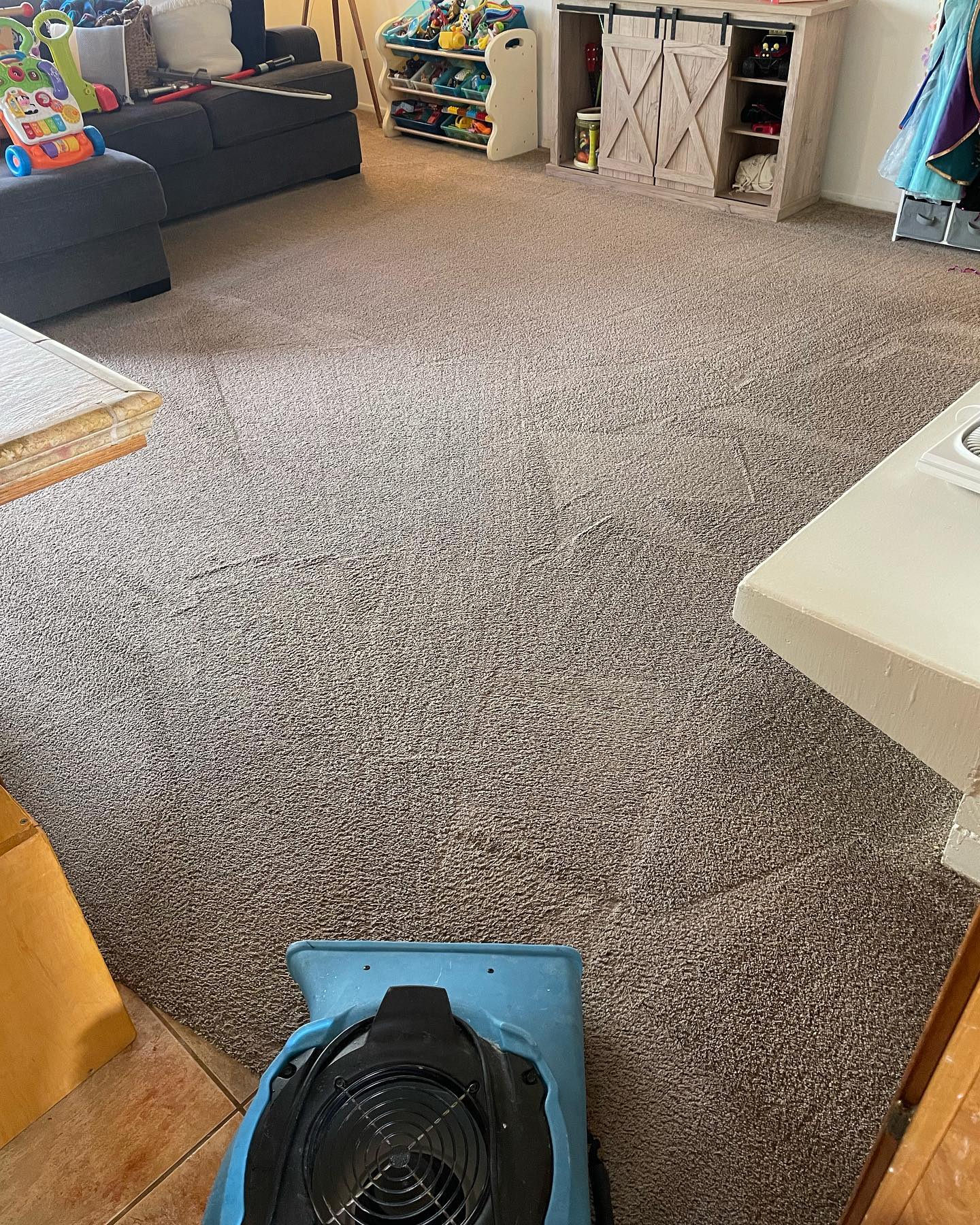 Steamworks Carpet Cleaning and Water Damage Restoration Image