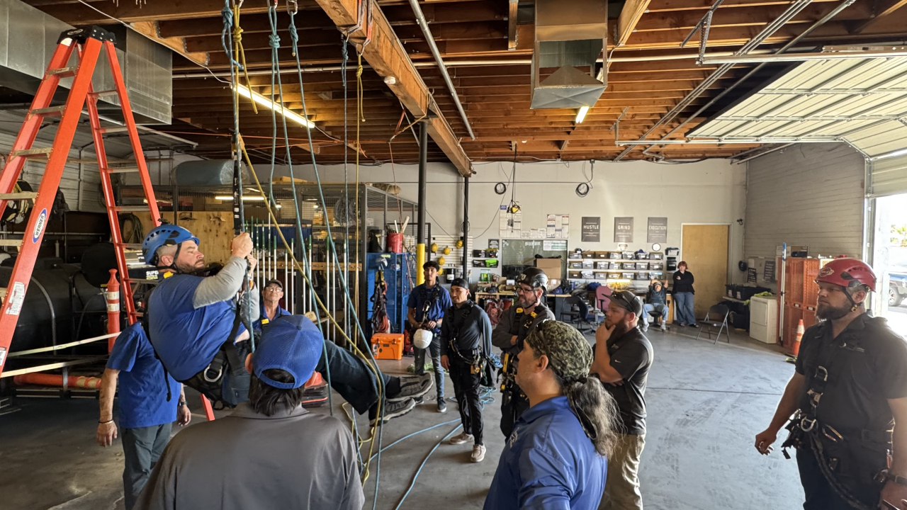 Professional Window Cleaning Image