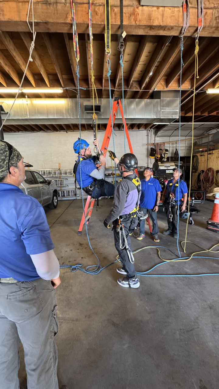 Professional Window Cleaning Image