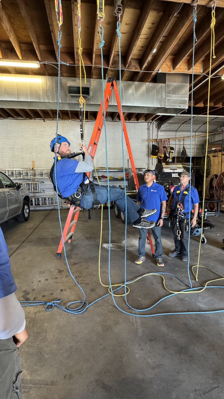Professional Window Cleaning Image