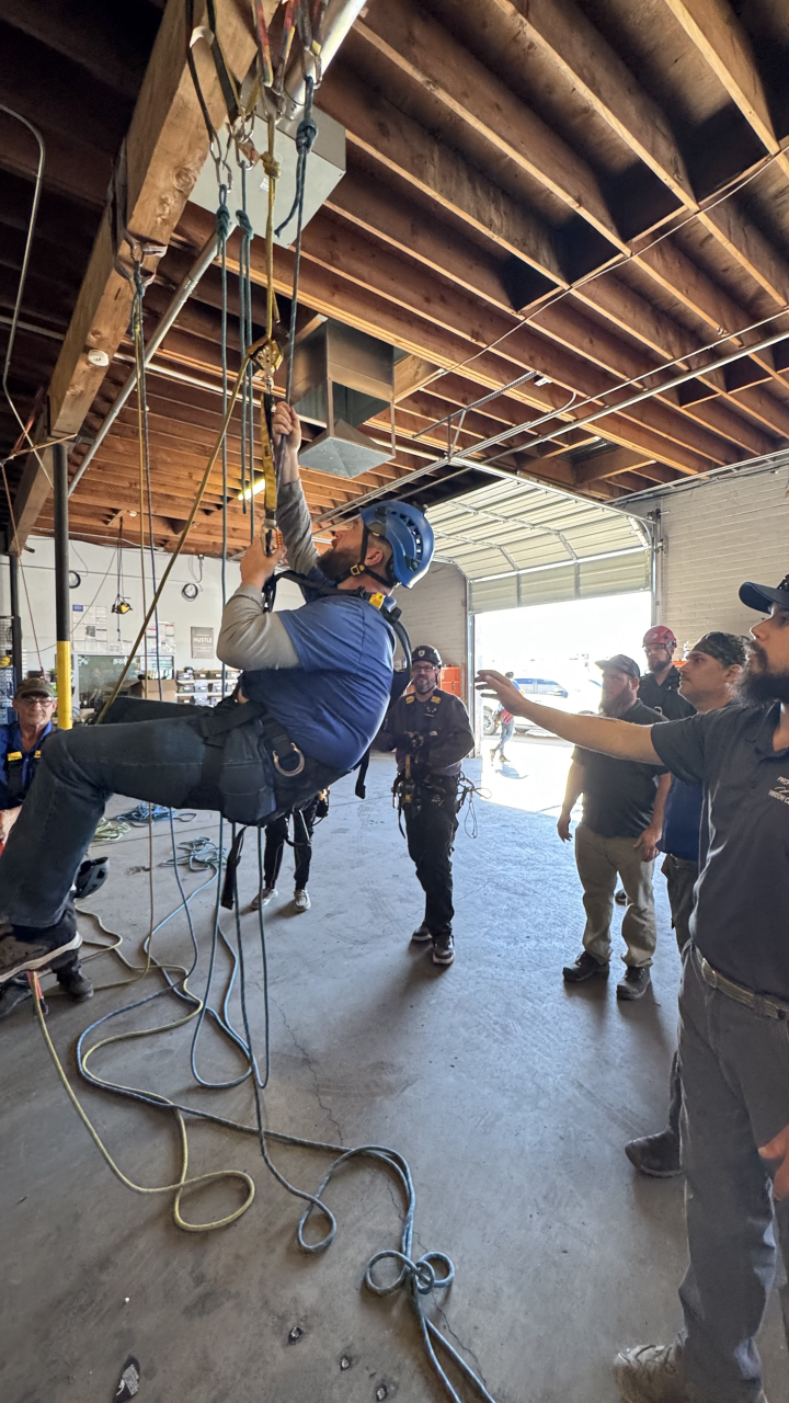 Professional Window Cleaning Image