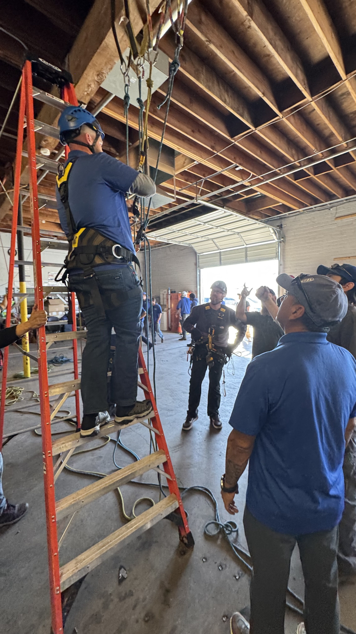 Professional Window Cleaning Image