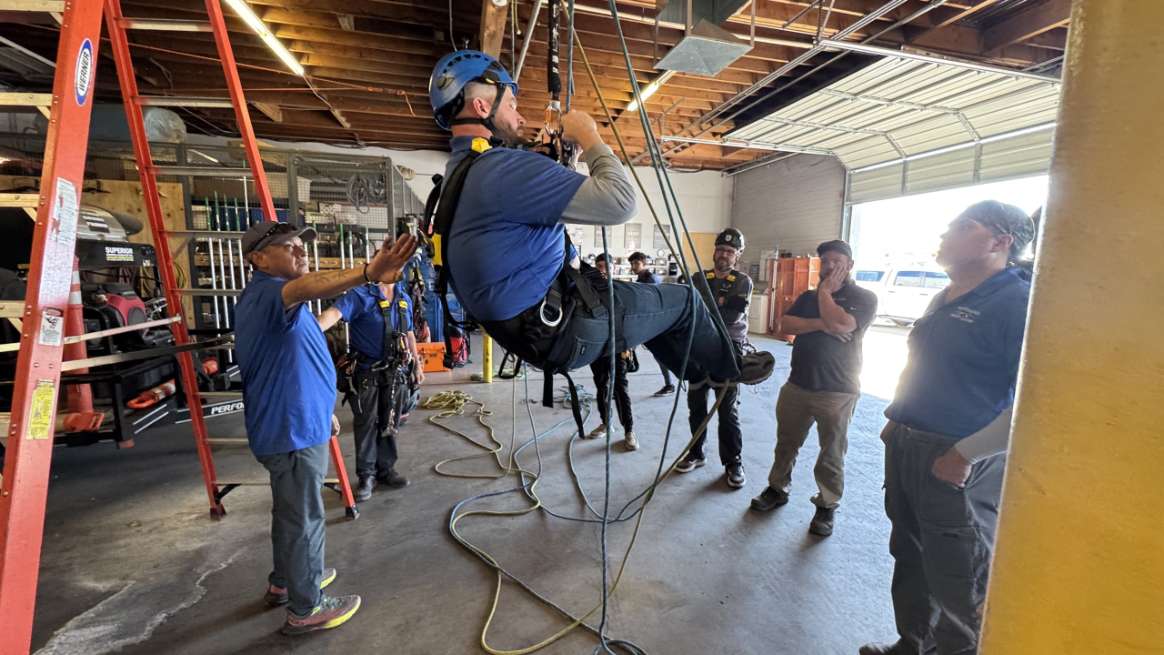 Professional Window Cleaning Image