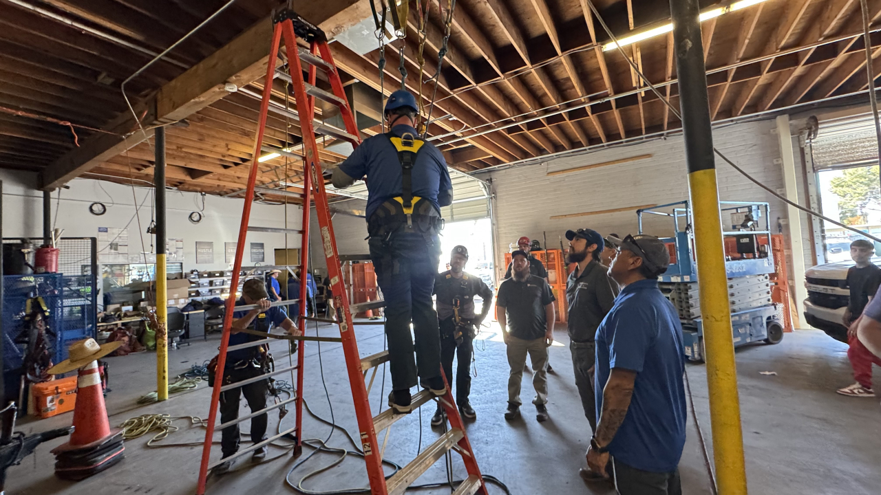 Professional Window Cleaning Image