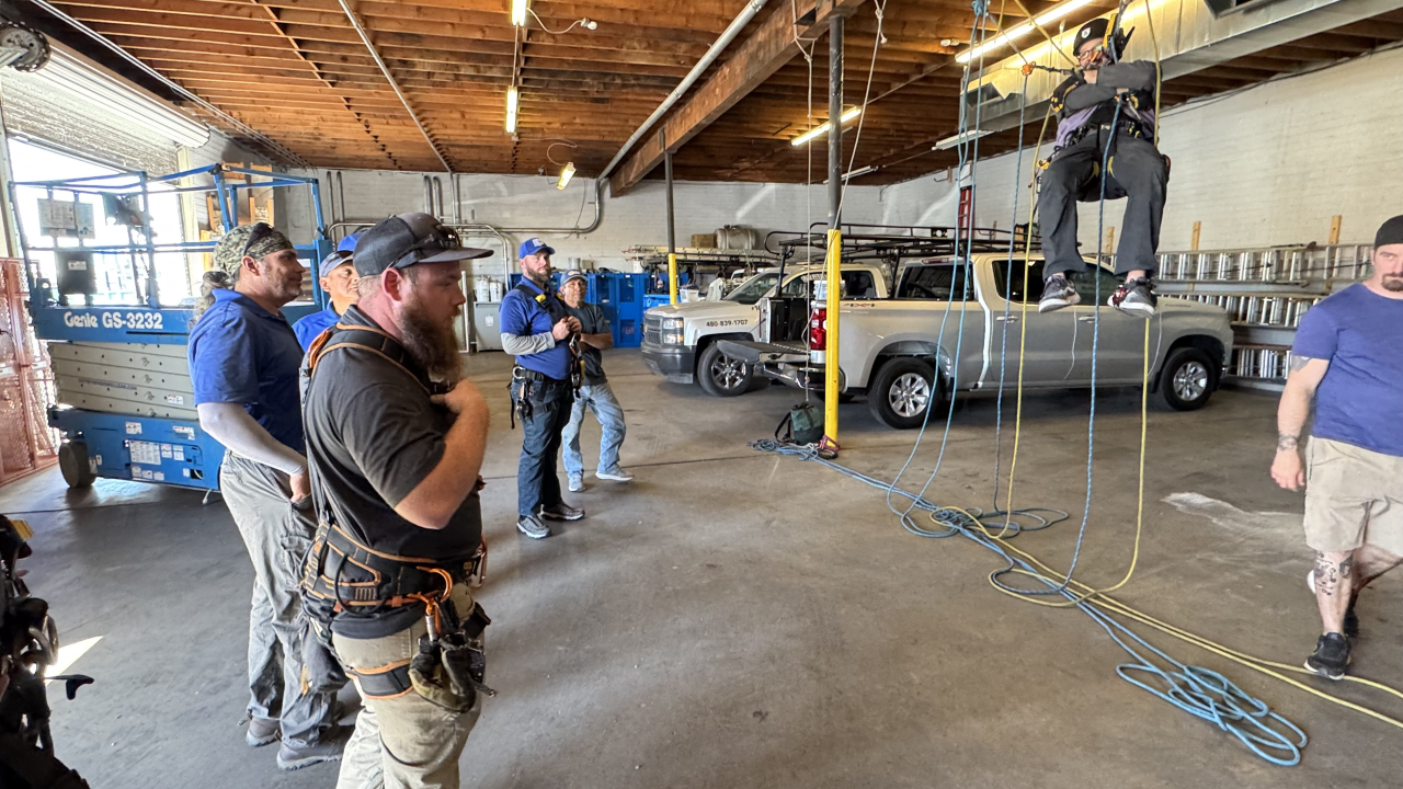 Professional Window Cleaning Image