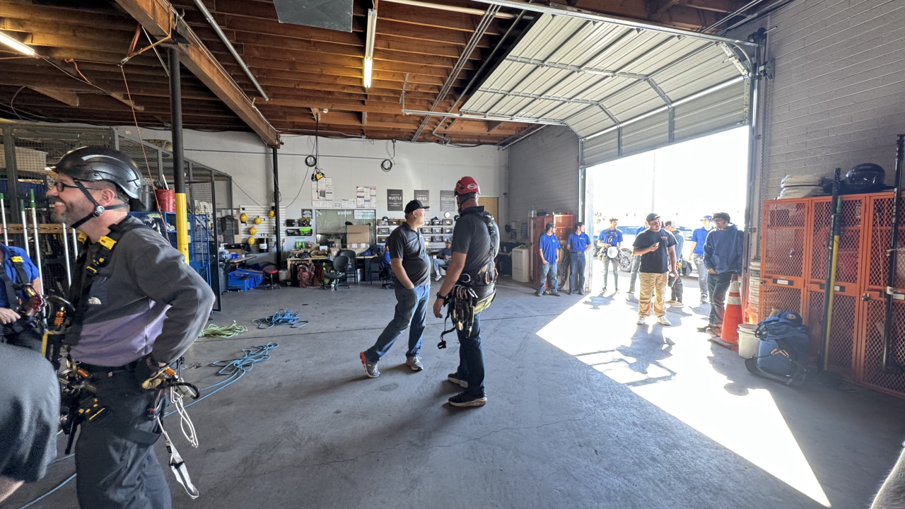 Professional Window Cleaning Image