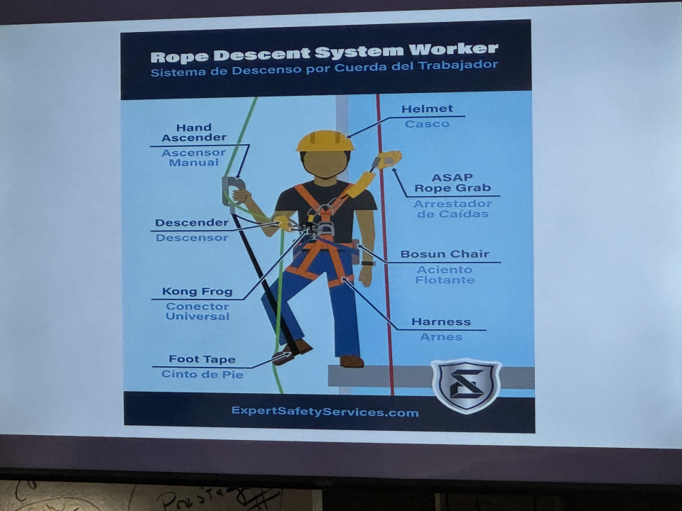 Professional Window Cleaning Image