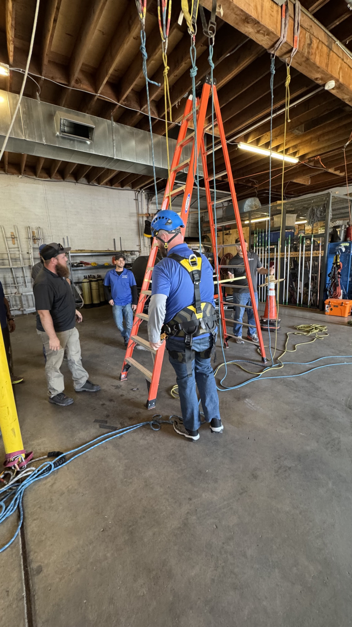 Professional Window Cleaning Image
