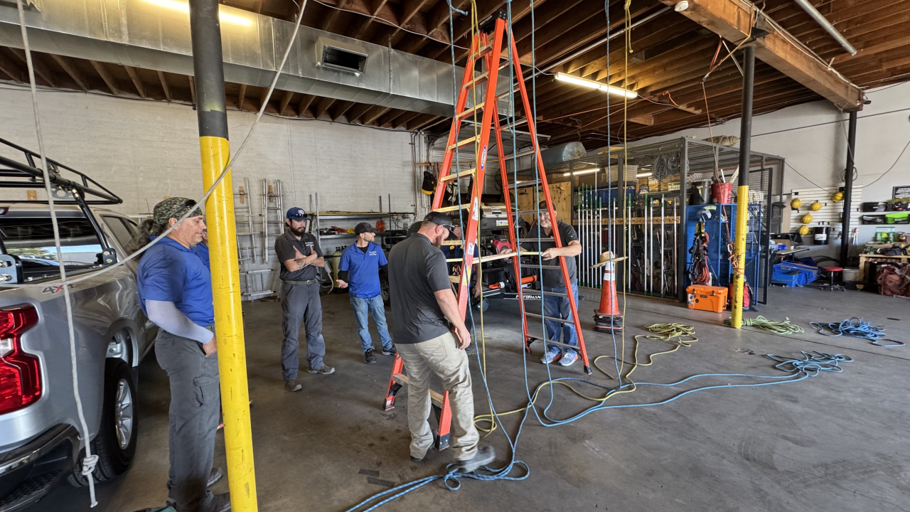 Professional Window Cleaning Image