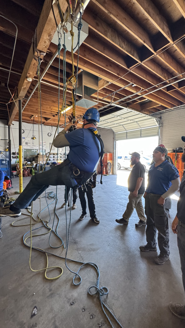 Professional Window Cleaning Logo