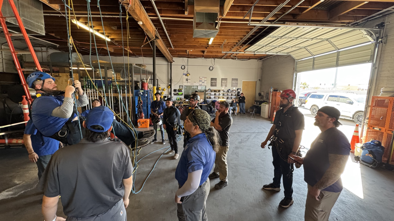 Professional Window Cleaning Image