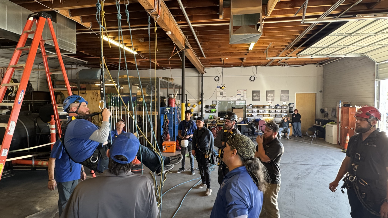 Professional Window Cleaning Image