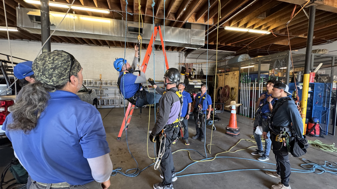Professional Window Cleaning Image