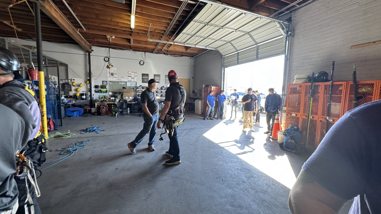 Professional Window Cleaning Image