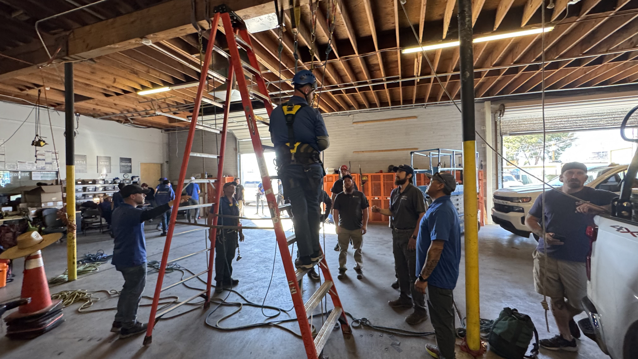 Professional Window Cleaning Image
