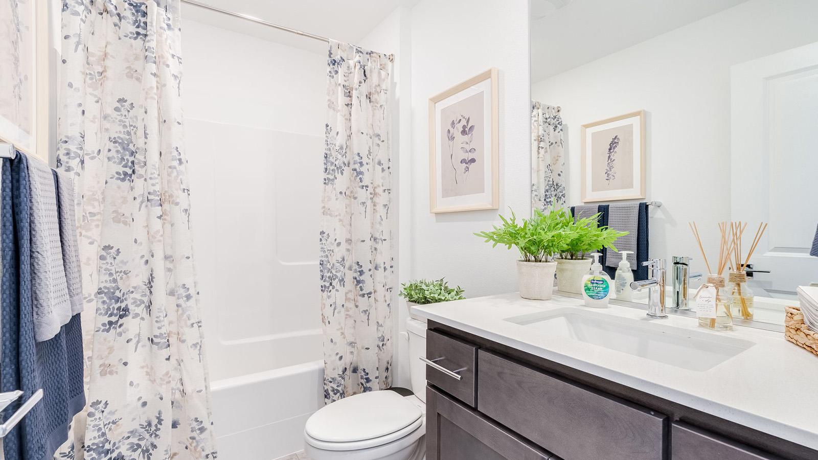 Highland Terrace by D.R. Horton Image