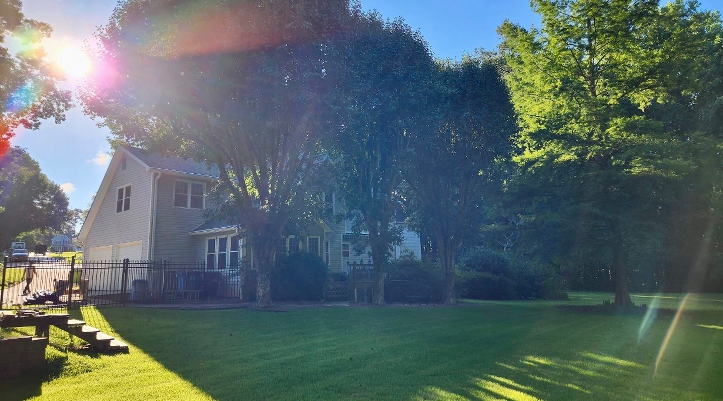 New Leaf Tree - Newnan, GA