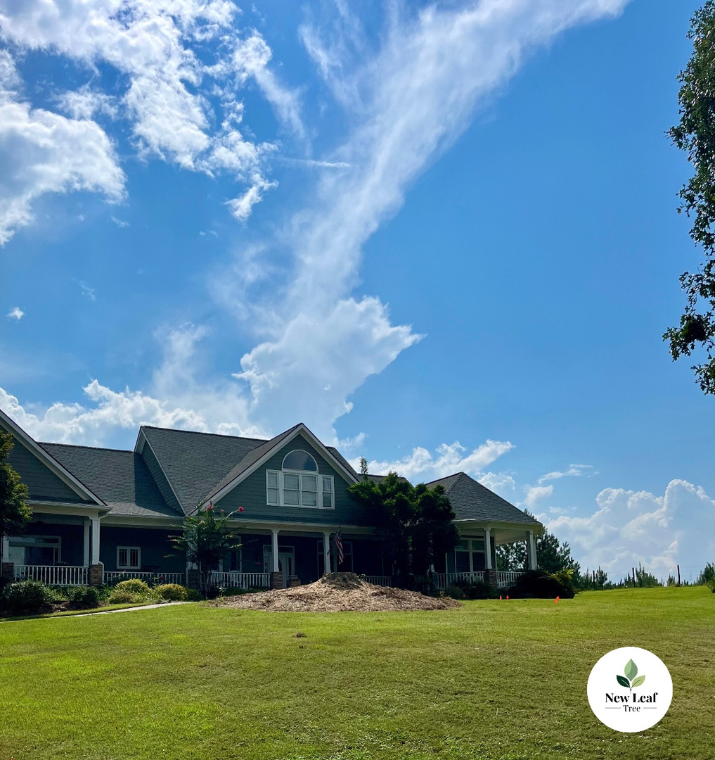 New Leaf Tree - Newnan, GA