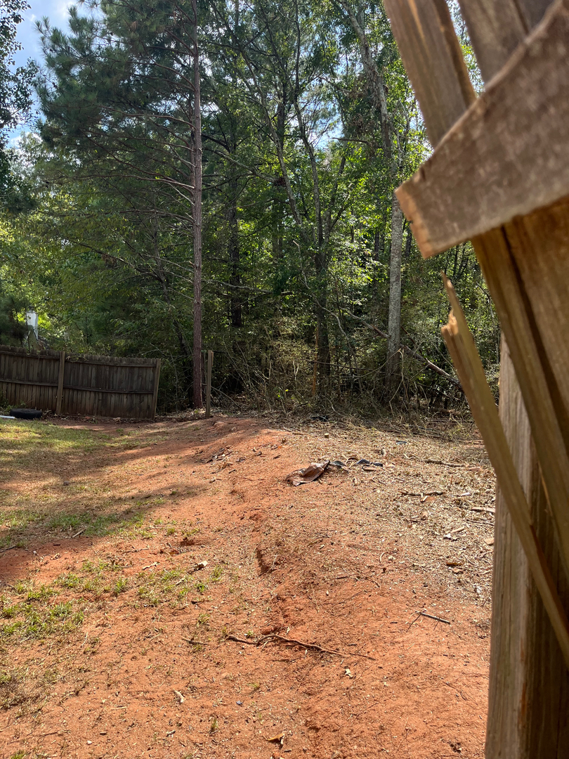 New Leaf Tree - Newnan, GA
