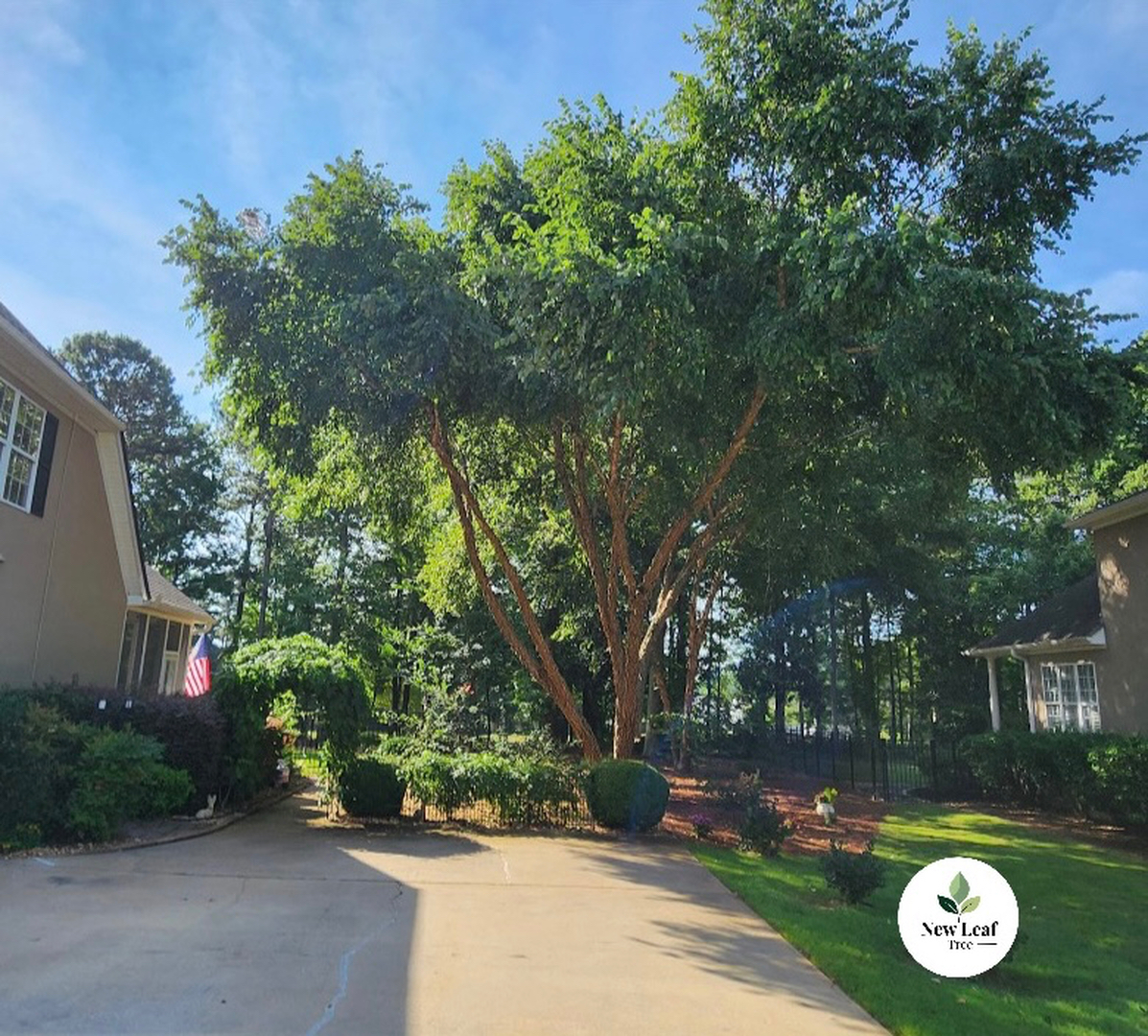 New Leaf Tree - Newnan, GA