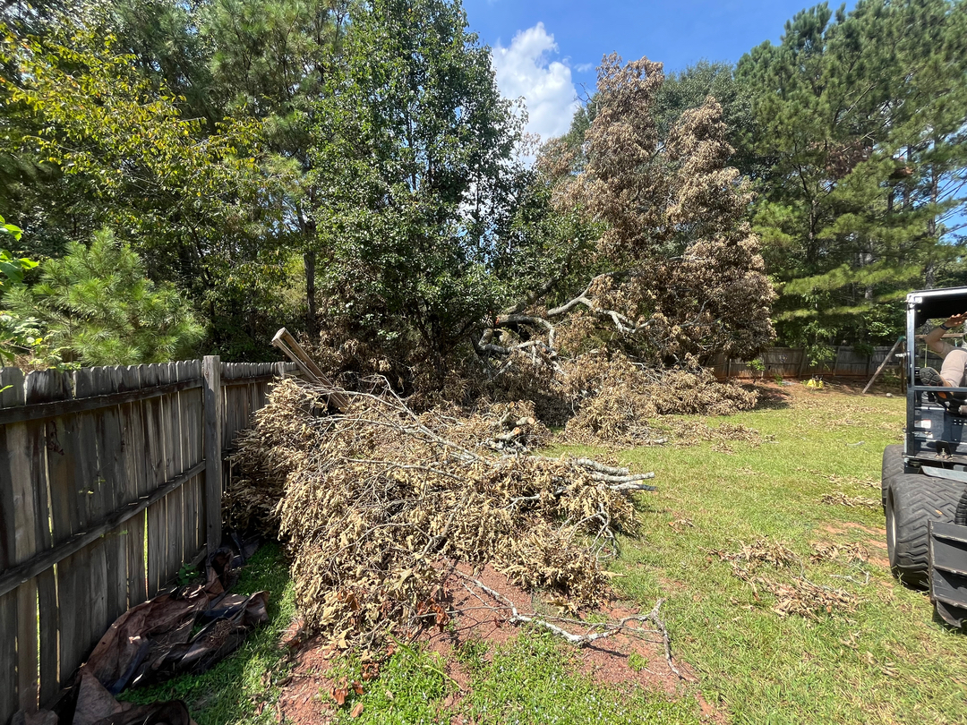New Leaf Tree - Newnan, GA