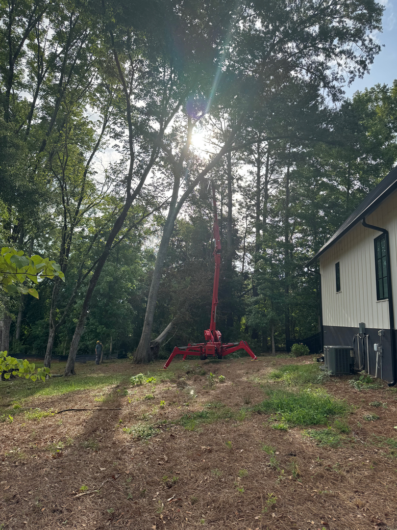 New Leaf Tree - Newnan, GA