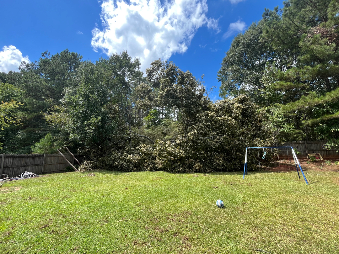 New Leaf Tree - Newnan, GA