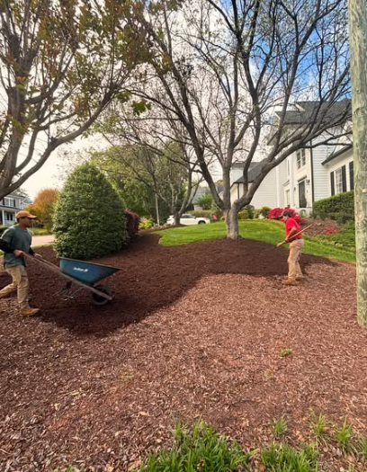 Bunn Landscaping LLC Image