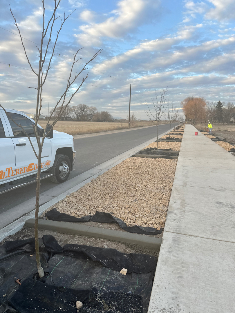 Altered Edge Curbing Image