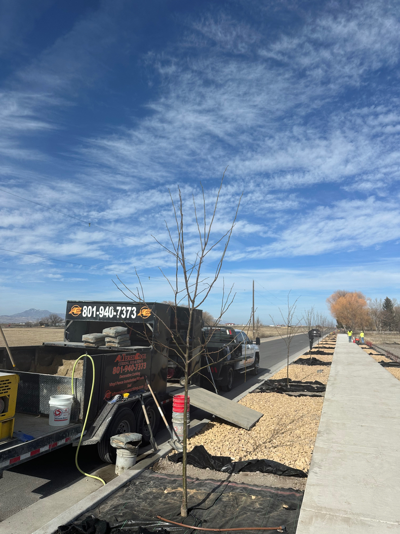 Altered Edge Curbing Image