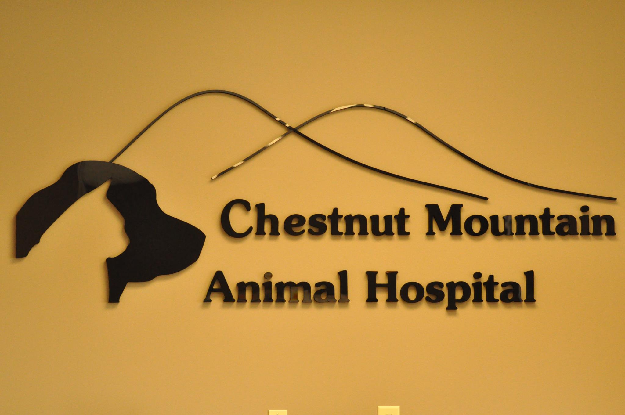 Chestnut Mountain Animal Hospital - Flowery Branch, GA