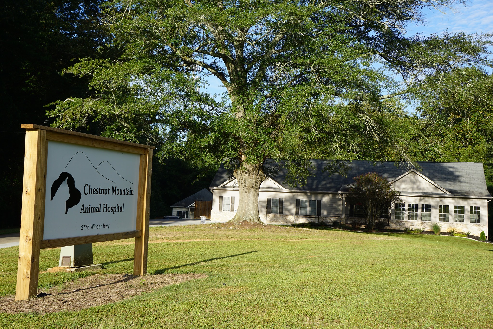 Chestnut Mountain Animal Hospital - Flowery Branch, GA