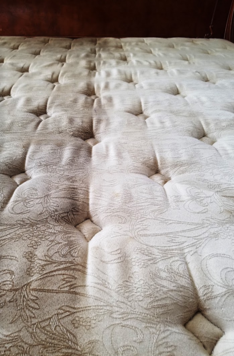 Complete Carpet Restoration Ontario Image