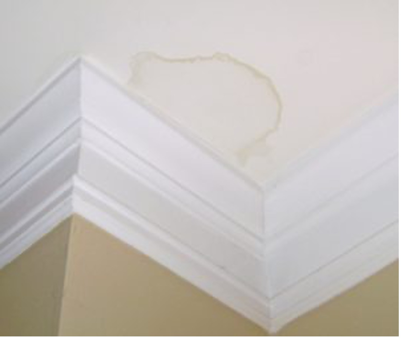 Shelter Construction, LLC Image