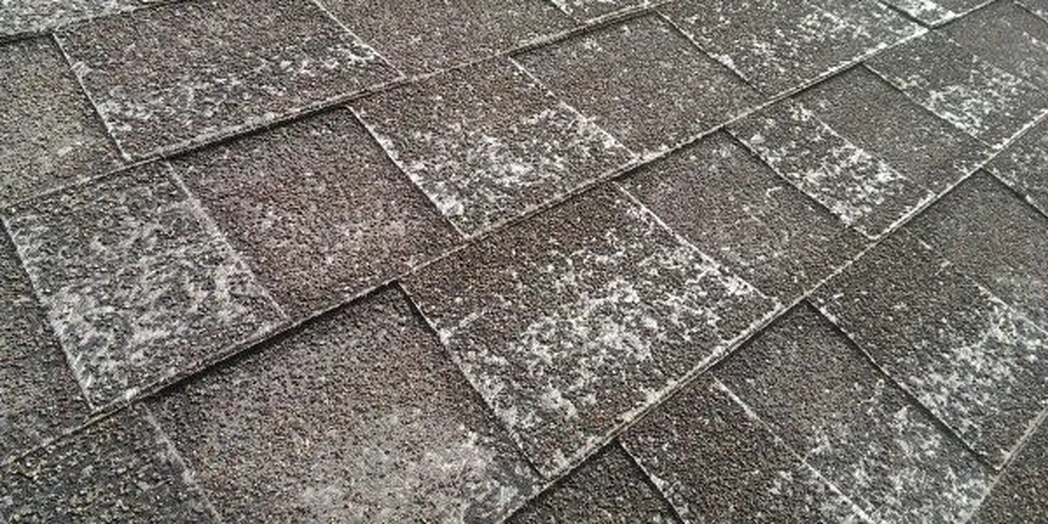 Shelter Construction, LLC Image