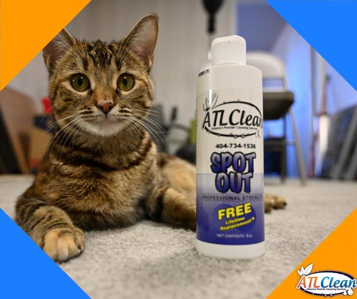 Carpet Cleaning by ATL Clean Image