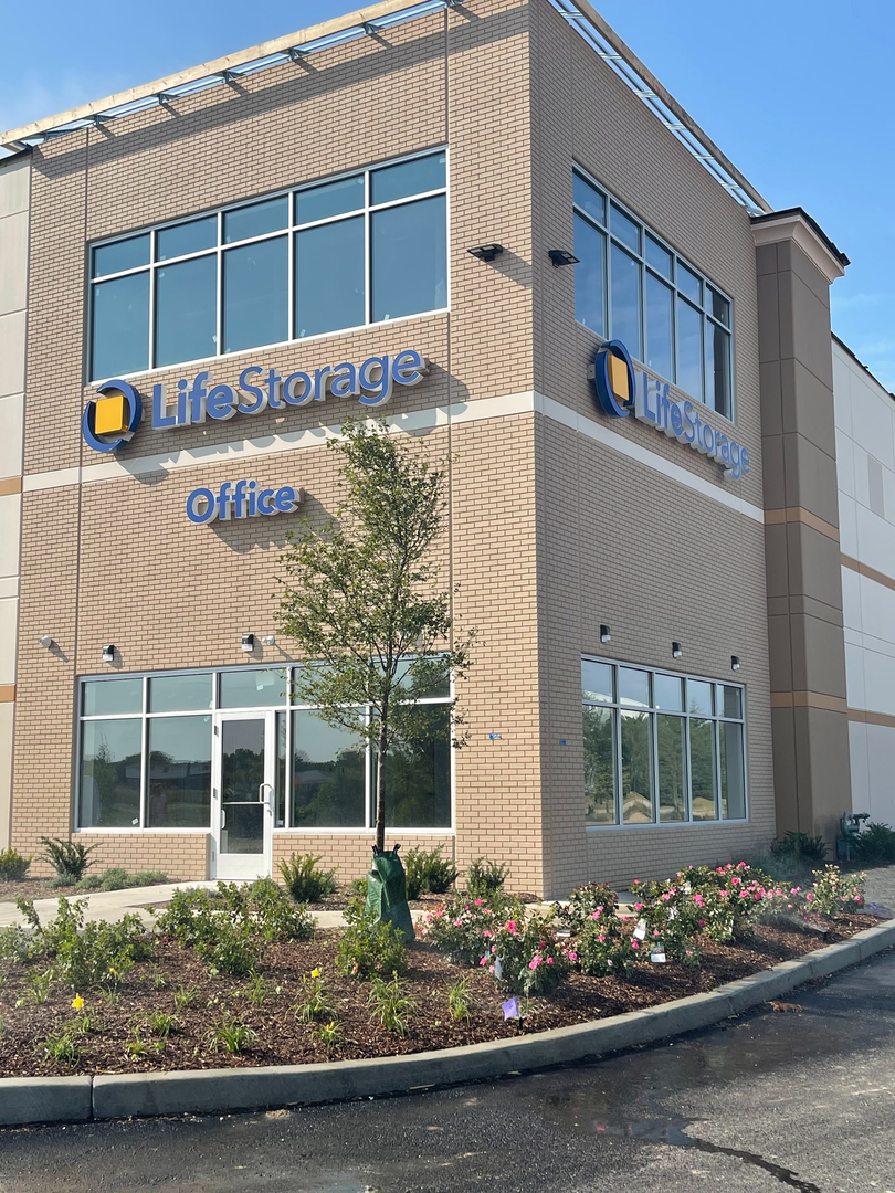 Glasshopper Schor Glass Image