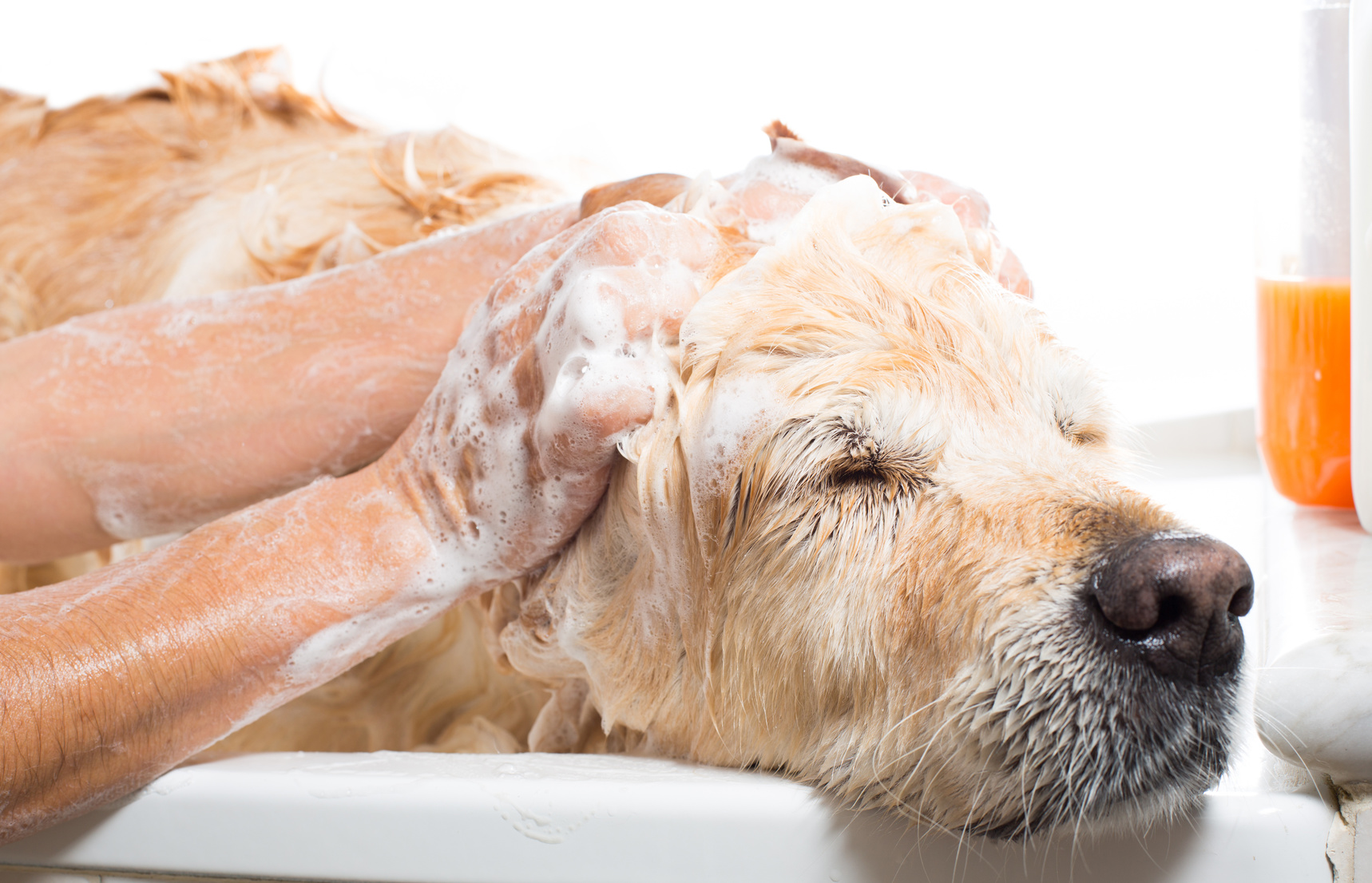 Circular Image