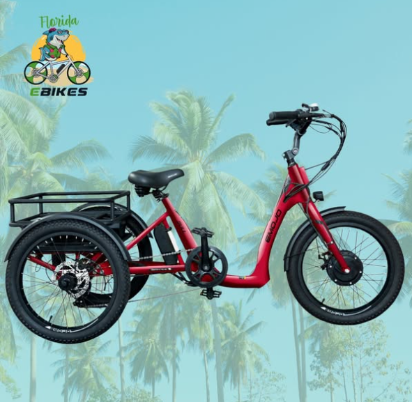 Florida EBikes- Sarasota, FL Image