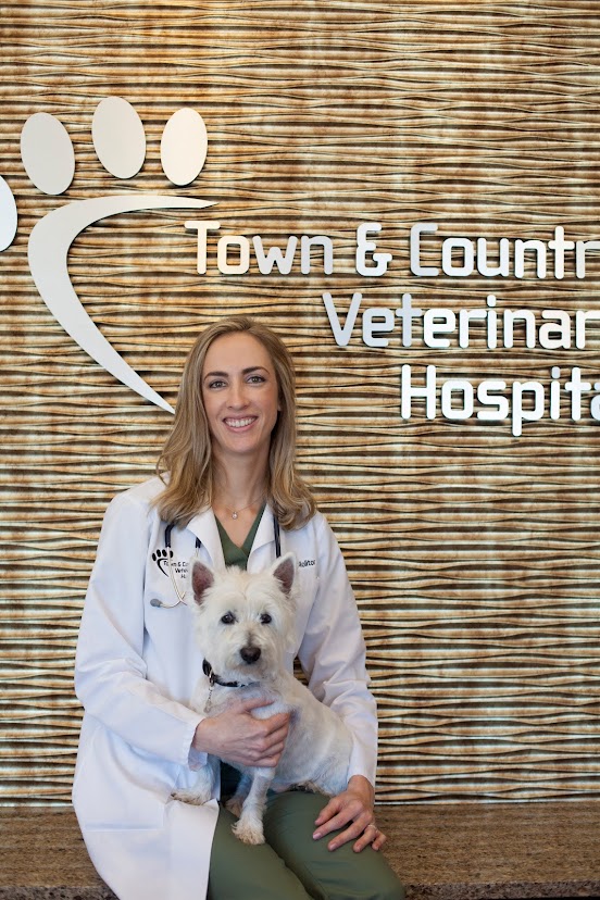 Town and Country Veterinary Hospital - Chesterfield, MO