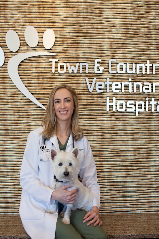 Image 2 | Town and Country Veterinary Hospital