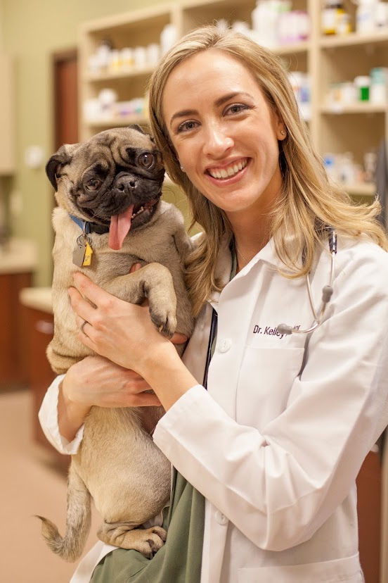 Town and Country Veterinary Hospital - Chesterfield, MO