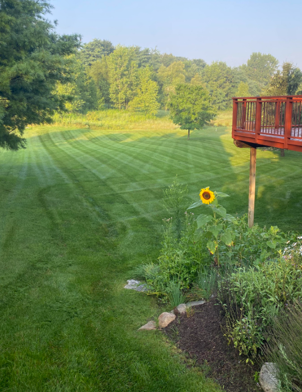 The Lawn Rangers Image