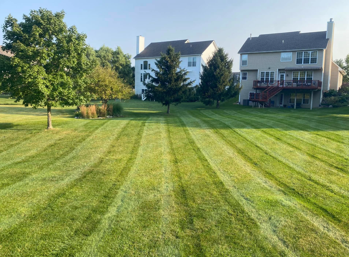 The Lawn Rangers Image